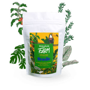 Mokaflor Farma – Brazil kafa u zrnu, ukus – mlečna čokolada, grožđe, bademi